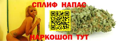 СК Нальчик
